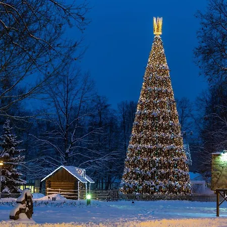 Burmistro Namas Druskieniki