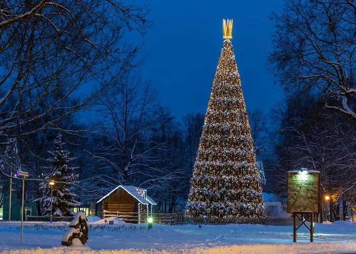 Burmistro Namas Druskininkai